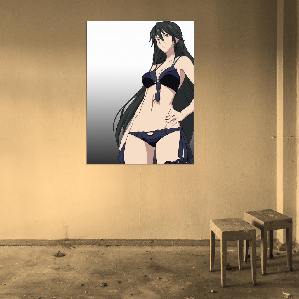 Infinite Stratos IS Hot Girl Body Anime Manga Art Wall Art Print Poster
