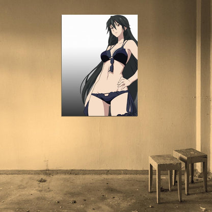 Infinite Stratos IS Hot Girl Body Anime Manga Art Wall Art Print Poster