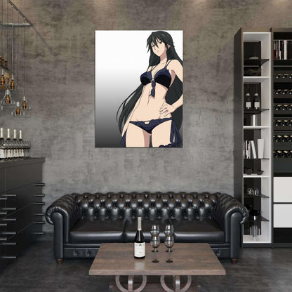 Infinite Stratos IS Hot Girl Body Anime Manga Art Wall Art Print Poster