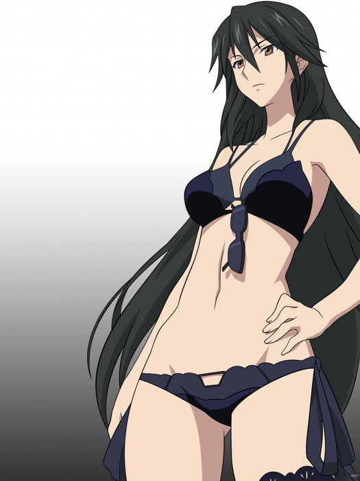 Infinite Stratos IS Hot Girl Body Anime Manga Art Wall Art Print Poster