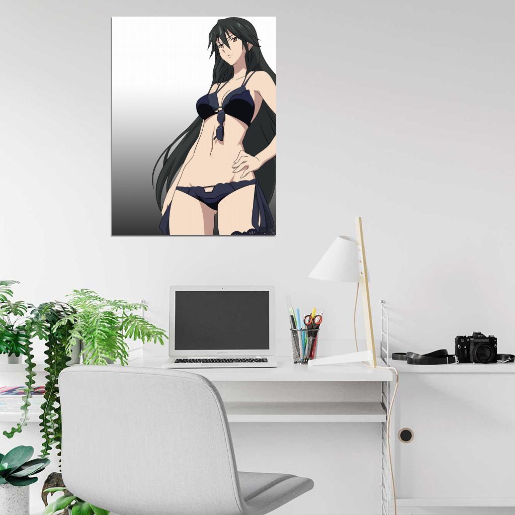 Infinite Stratos IS Hot Girl Body Anime Manga Art Wall Art Print Poster