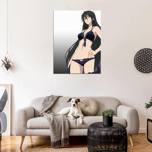 Infinite Stratos IS Hot Girl Body Anime Manga Art Wall Art Print Poster