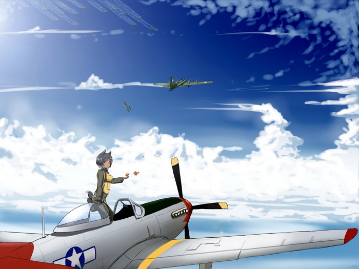 Strike Witches Airplane Sky Clouds Anime Manga Art Wall Art Print Poster